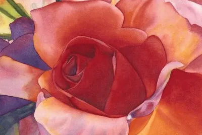 Beautiful Rose