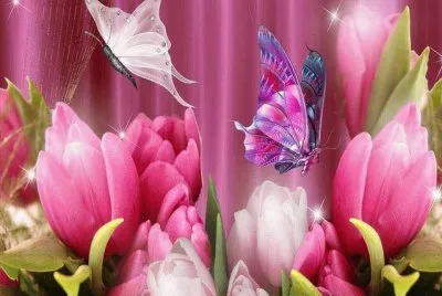 tulipas