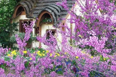 jardin