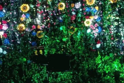 jardin