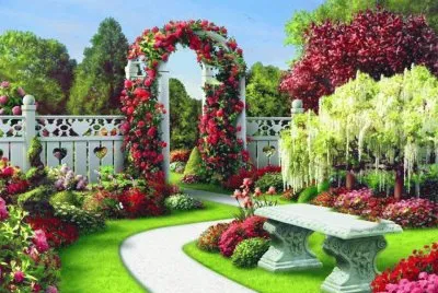 jardin