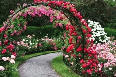 jardin