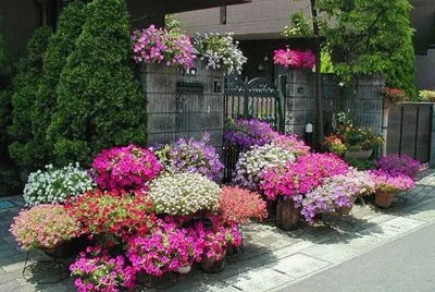 jardin