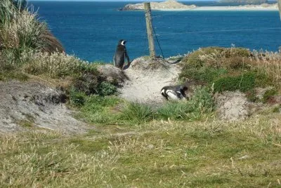 Las Malvinas son ARGENTINAS