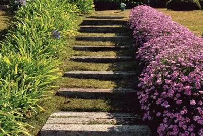 Natureza jigsaw puzzle