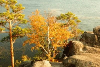 Natureza jigsaw puzzle