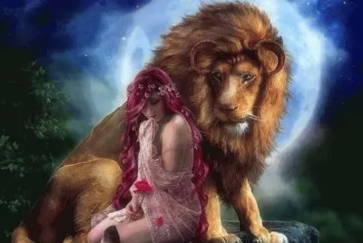 animais