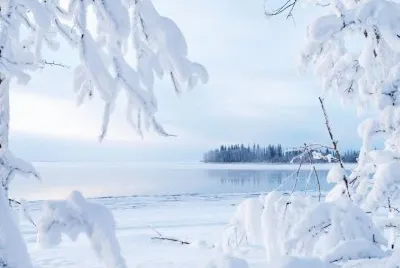 NEVE