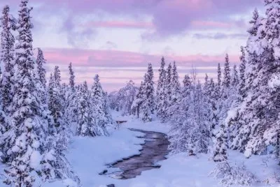 NEVE