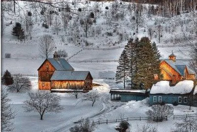 NEVE