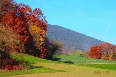 fin d 'automne