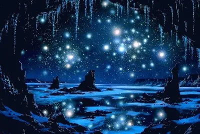 fantasia jigsaw puzzle