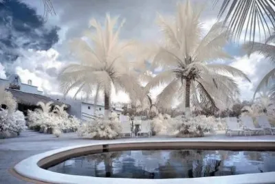 NEVE