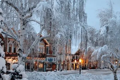 NEVE