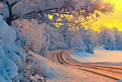 NEVE