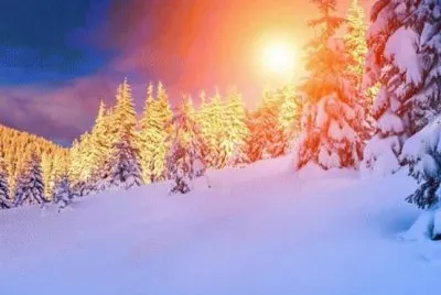 NEVE