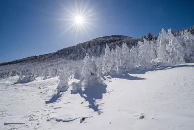 NEVE