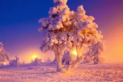 NEVE