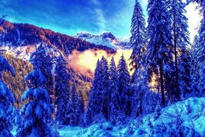 NEVE