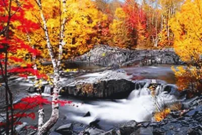brook