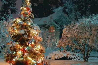 NEVE