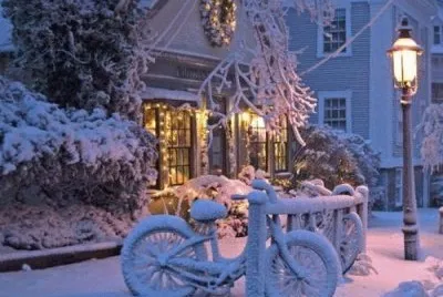 NEVE
