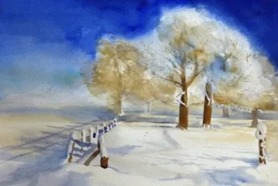 NEVE