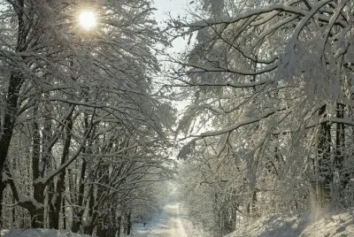 NEVE