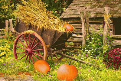 paisaje jigsaw puzzle