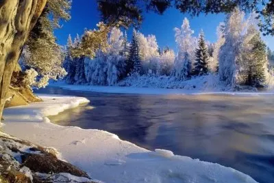 Winterlandschaft jigsaw puzzle