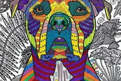 perro