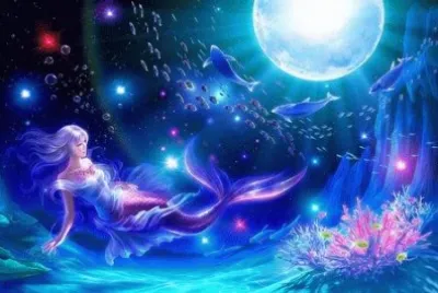 fantasia jigsaw puzzle