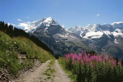 Landschaft