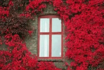 Natureza jigsaw puzzle
