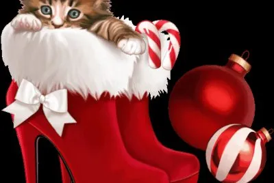 Katzen