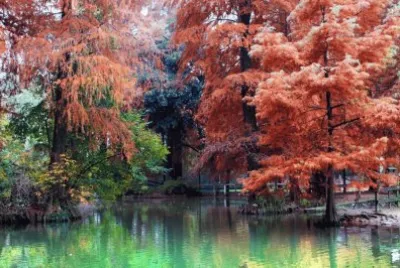 otoÃ±o jigsaw puzzle