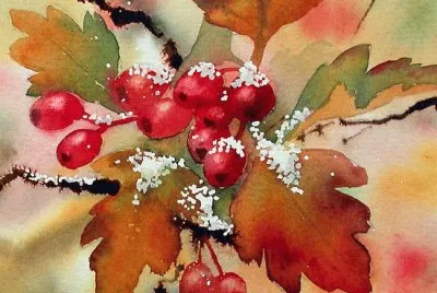 Winter Berry 's