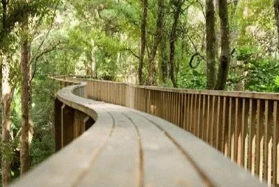 Camino sinuoso.