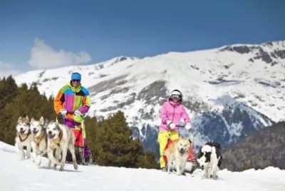 mushing