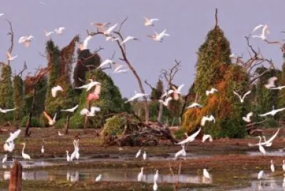 BaÃ±ado La Estrella. Formosa. Argentina