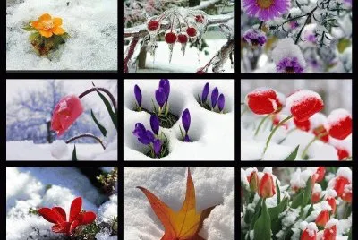 Winterbild