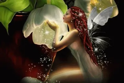 hadas-duendes-elfos-fantasia