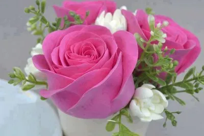 rosas