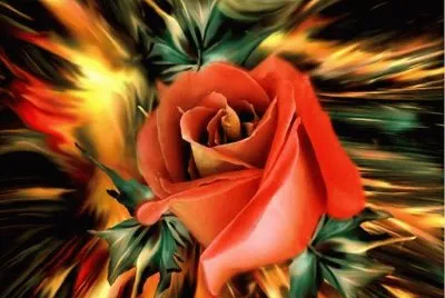 rosas