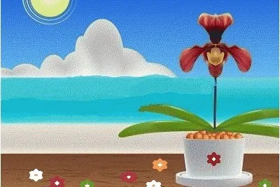 lily6