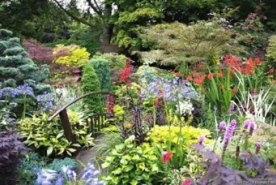 jardÃ­n jigsaw puzzle