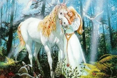 fantasia jigsaw puzzle