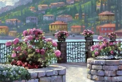 casas jigsaw puzzle
