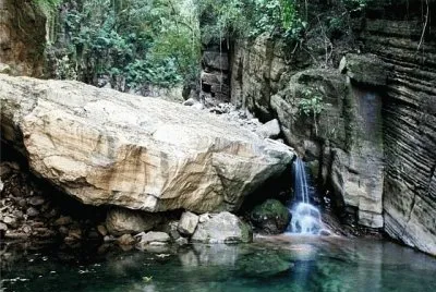 PN Calilegua. Salta. Argentina jigsaw puzzle