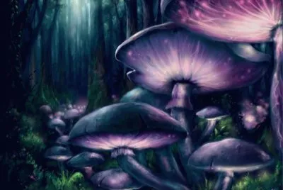 fantasia jigsaw puzzle